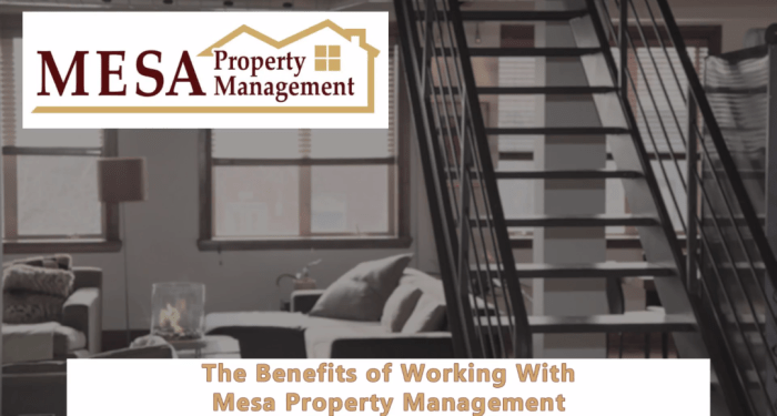 The Benefits of Working with Mesa Property Management