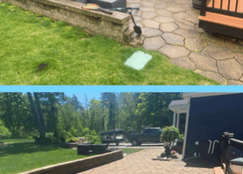 Find Paver Stripping And Sealing Near Me In Winkelman - Carefree Stone ...