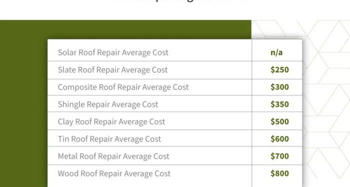 Roof Repair Cost Guide (2024 Update) | Roof Maxx